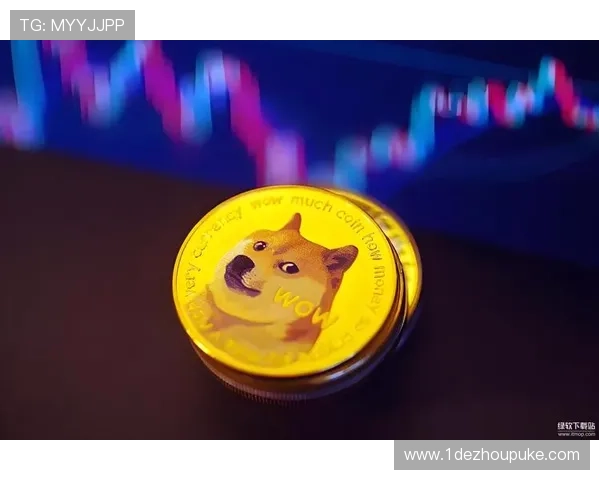 探索USD和Doge币的未来：数字货币的交汇点